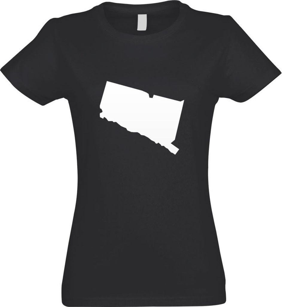 Kiwistar - T-Shirt tailliert - Damen - Graphit - USA - Connecticut Hartford - mit Motiv Bedruckt - Funshirt Design - Sport - Freizeit - Damen - L