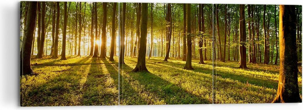 Bild auf Leinwand - Leinwandbild - Wald grün Sonnenstrahlen Natur - 120x40cm - Wand Bild - Wanddeko - Leinwanddruck - Bilder - Kunstdruck - Wandde...