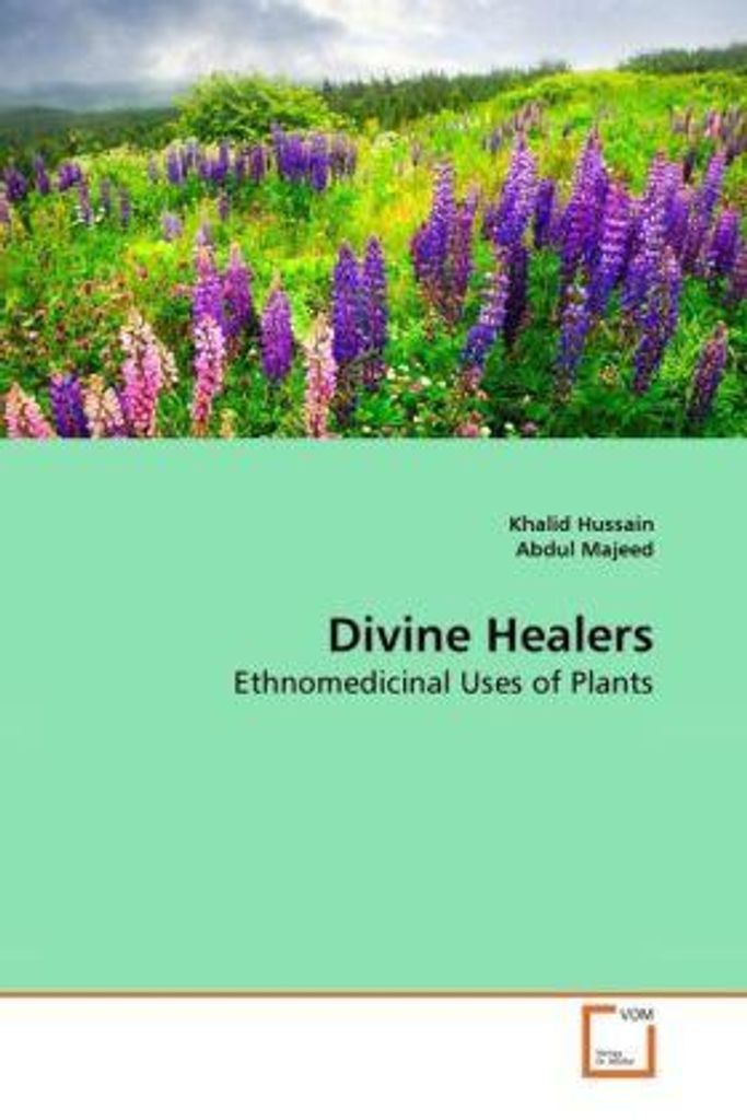 Hussain, K: Divine Healers