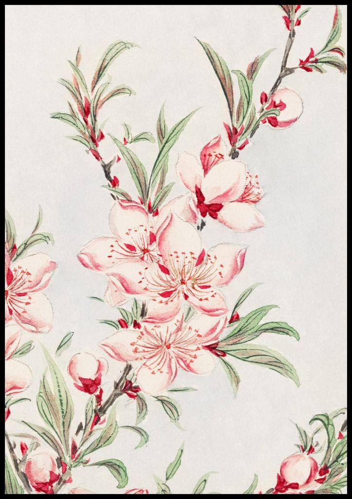 Plakat 70x100cm Pfirsichbaum, Morikaga Japanisch Vintage