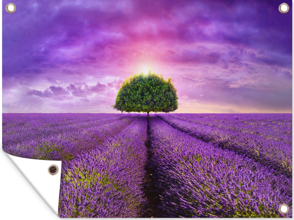 MuchoWow 120x90 cm Outdoor-Poster Gartendeko Sichtschutz Garten Poster für den Garten Lavendel - Baum - Lila - Wolken