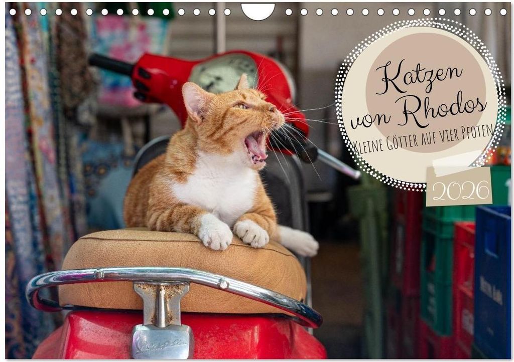 Katzen von Rhodos - Kleine Götter auf vier Pfoten (Wandkalender 2026 DIN A4 quer), CALVENDO Monatskalender