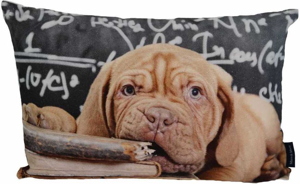 Mars & More Canvas Kissen Welpen Lern-Frust ca. 50 x 35 cm