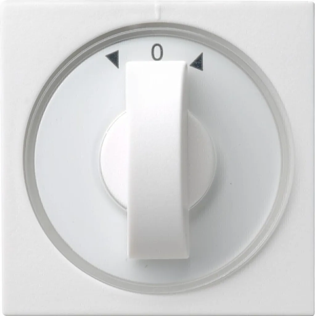 Plaque Centrale pour Commande de Store Gira 066603 Blanc Brillant