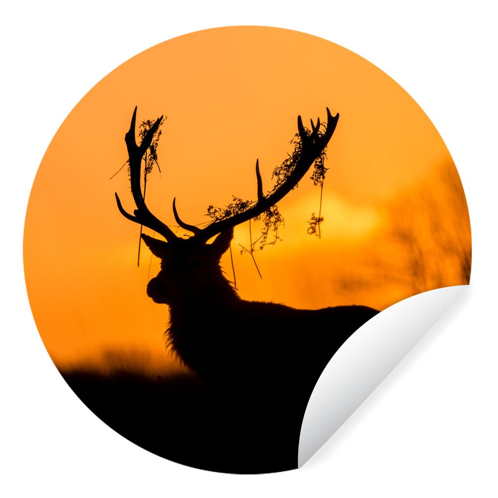 MuchoWow Runde Wandtattoo - Wandsticker Tapete Aufkleber Hirsch - Orange - Scherenschnitt - Tiere - Natur Ø 80 cm Selbstklebend und Repositionie...