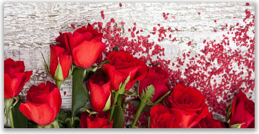 Tulup Leinwand-Bilder 140x70 Wandbild Canvas Kunstdruck Rosen Pflanzen