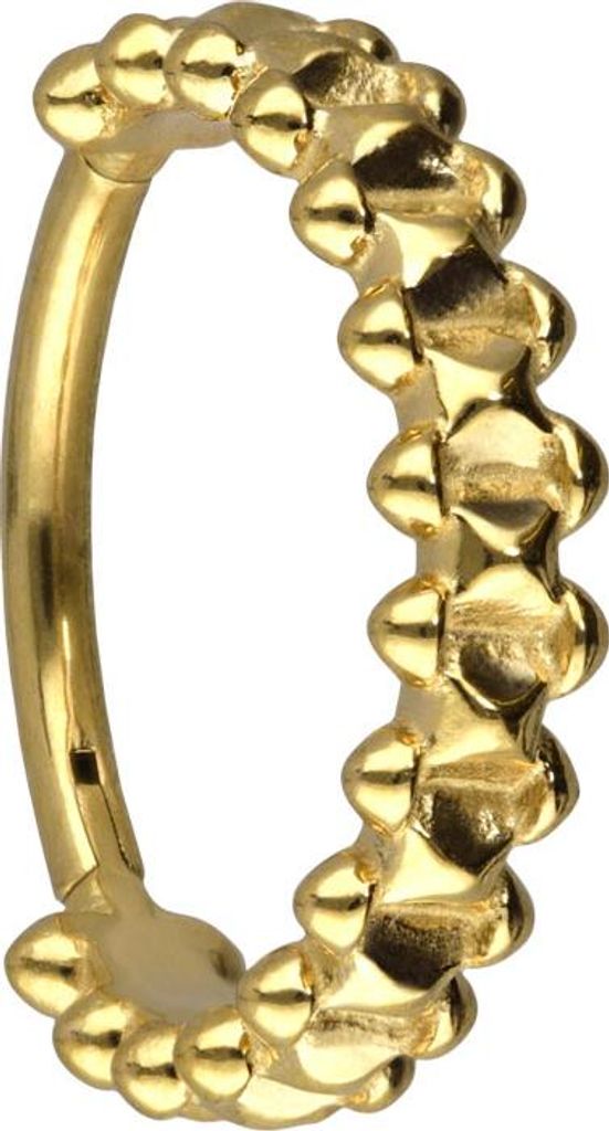 Ohrpiercing, Nasenpiercing, Septum Piercing Chirurgenstahl Segmentring Clicker NIETENDESIGN Gold Innendurchmesser: 12 mm