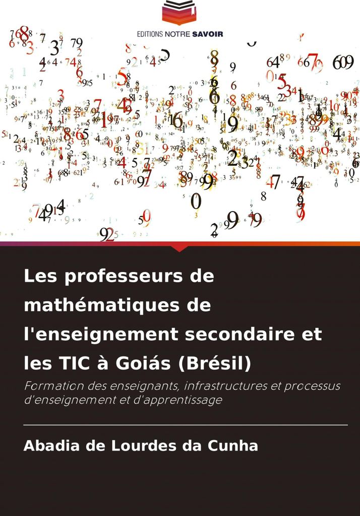 Les professeurs de mathématiques de l'enseignement secondaire et les TIC à Goiás (Brésil)