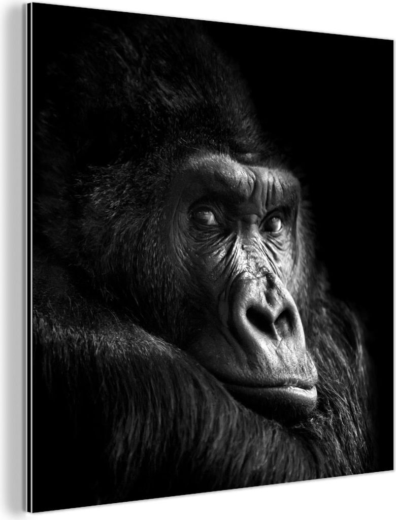 MuchoWow Wanddekoration Metall Metallbild Wandkunst 20x20 cm Gorilla - Affe - Schwarz - Weiß - Porträt MuchoWow Aluminium Gemälde - Alu Dibond B...