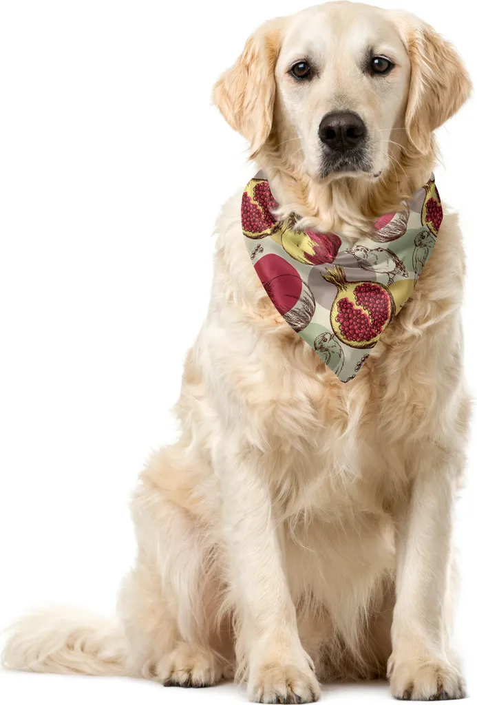 ABAKUHAUS Bandana per animali domestici con fiori, uccelli rustici e frutta, 40x40 cm, multicolore
