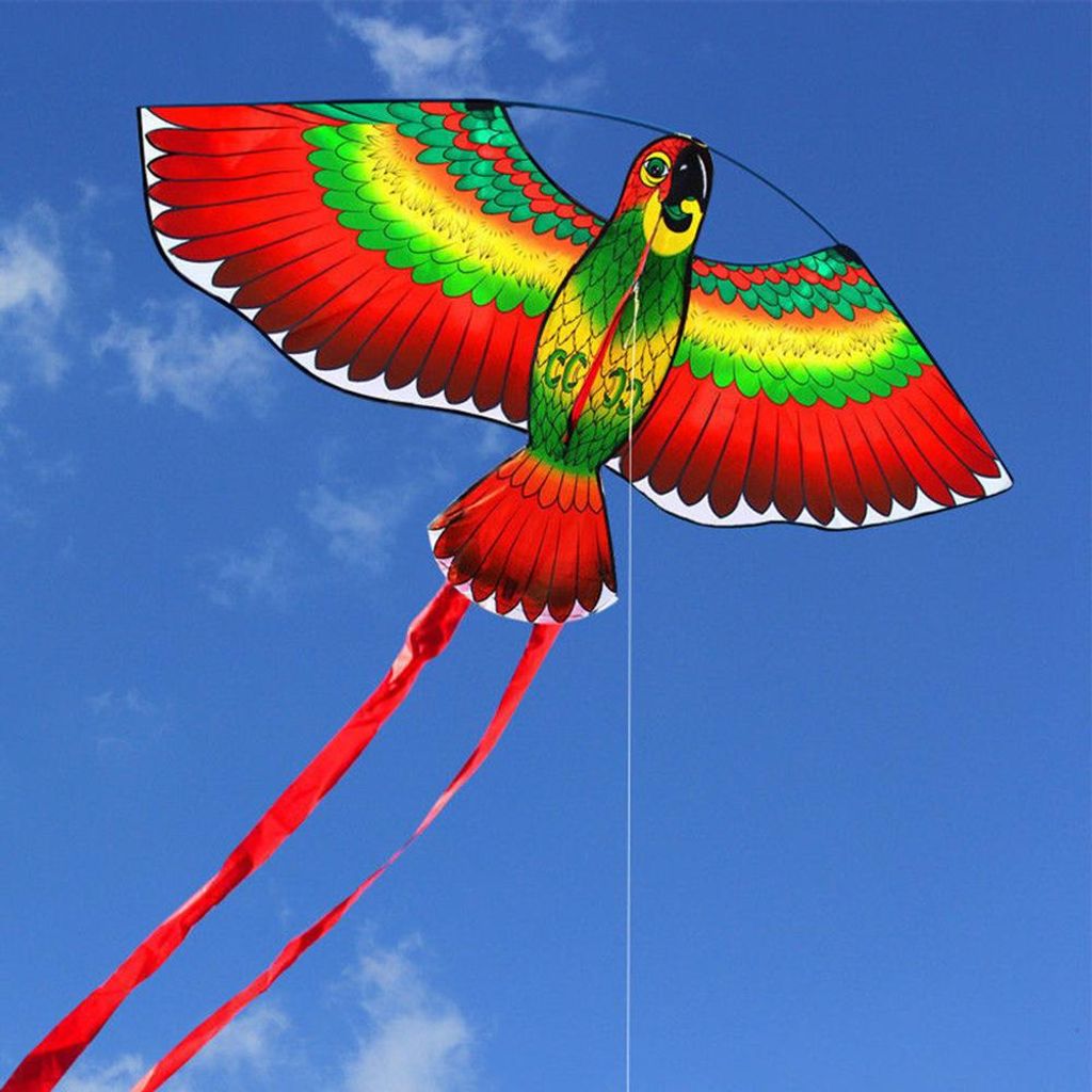 Rote Papageien Drachen, 110x50cm Kinder Drachen mit 50m Produktbild 