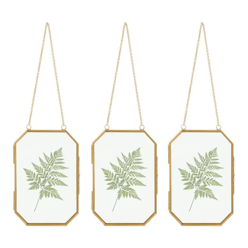Cadre en verre doré suspendu pour décoration murale photo et herbier