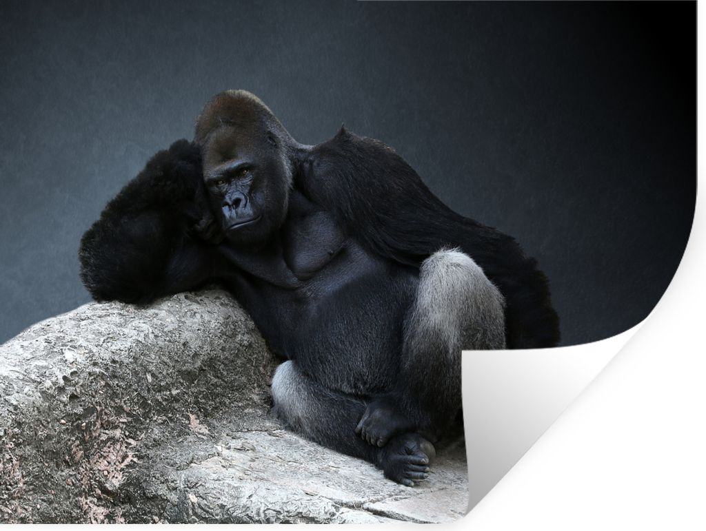 MuchoWow - Aufkleber