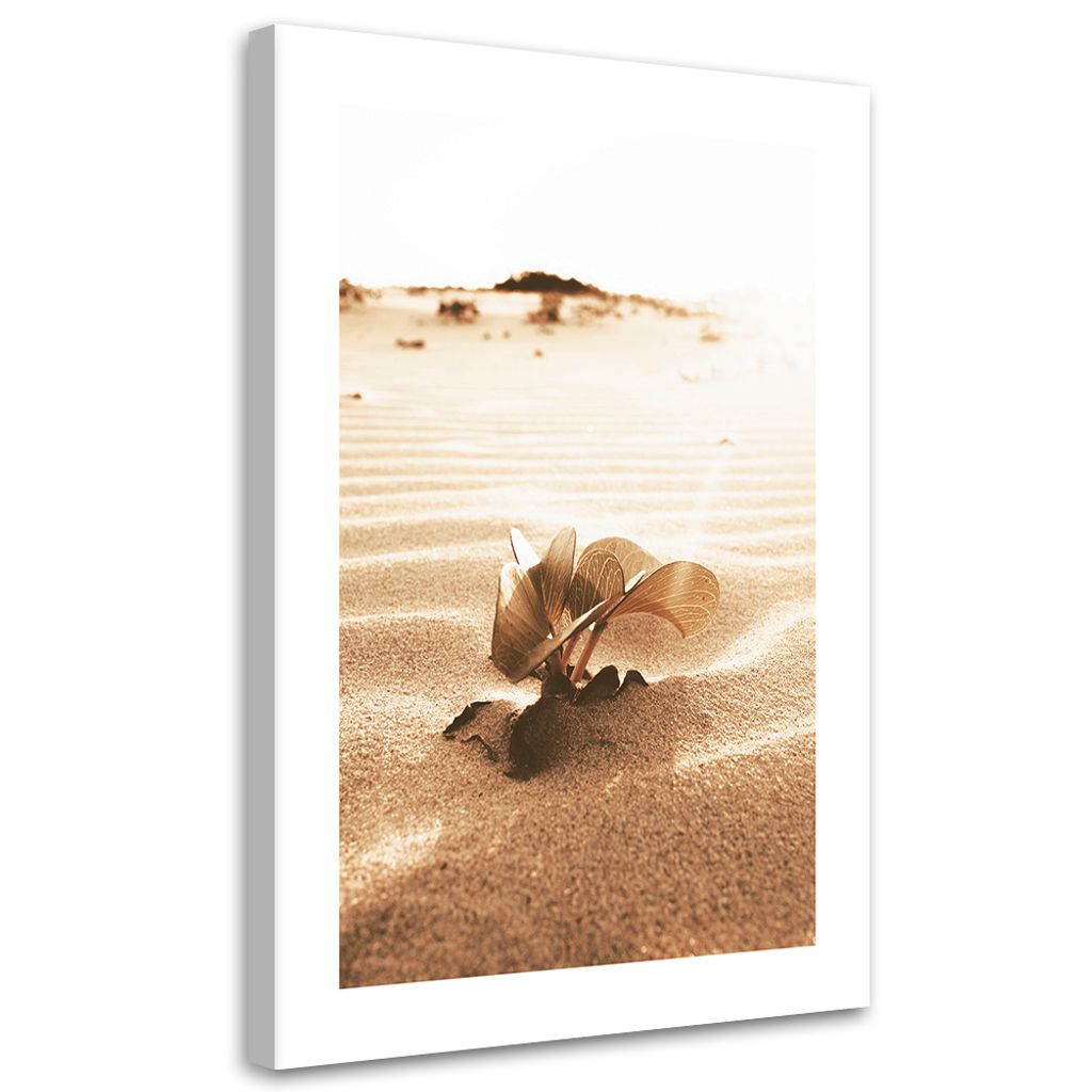 Leinwandbild Blume in der Wüste 80x120 Feeby Beige bild für die wand bereit zum aufhängen
