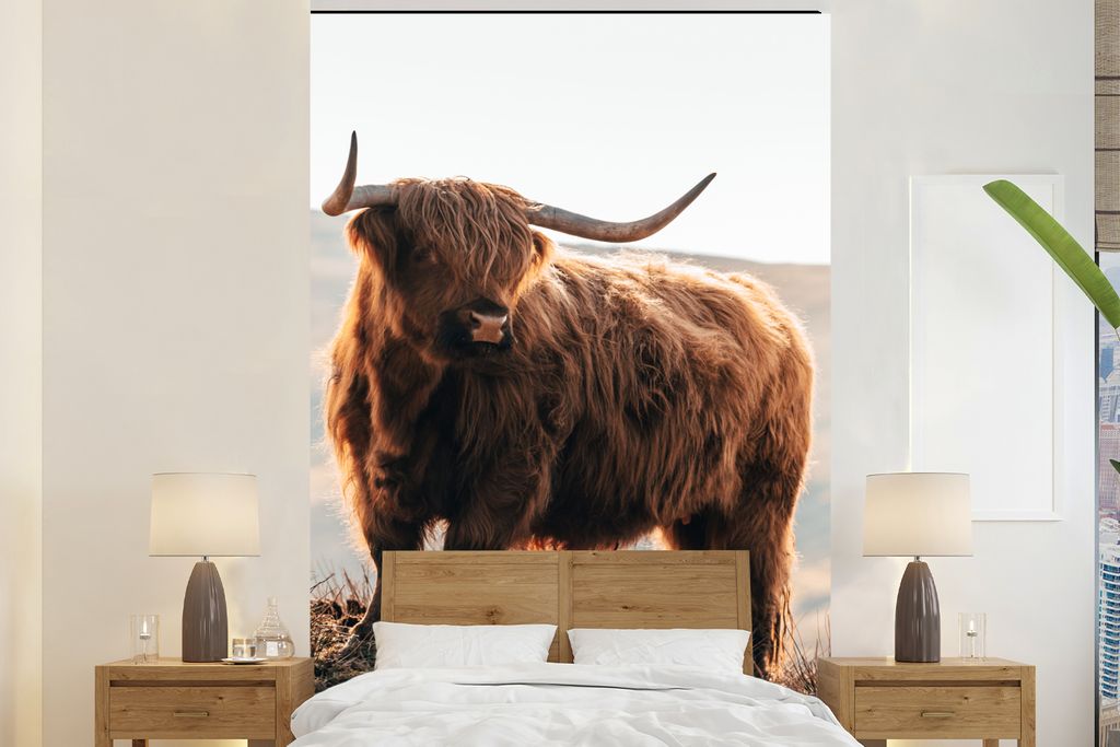 MuchoWow Fototapete für Wohnzimmer oder Schlafzimmer Wandtapete Vinyl Motivtapete Schottische Highlander - Tiere - Ländlich - Landschaft - Kuh ...