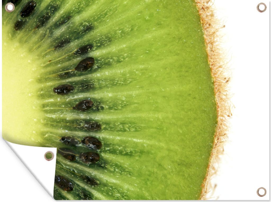 MuchoWow 120x90 cm Outdoor-Poster Gartendeko Sichtschutz Garten Poster für den Garten Kiwi - Kerne - Obst