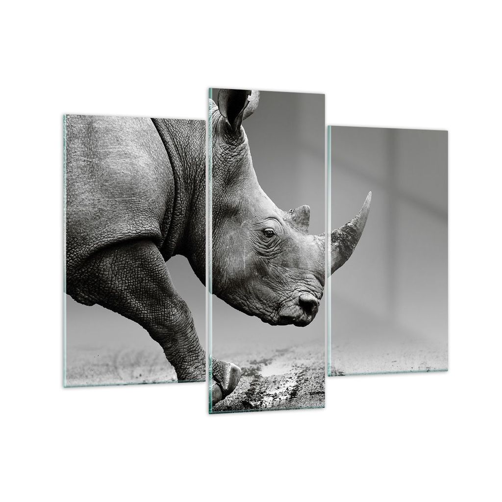 Bilder auf glas - 3 Teile - Nashorn Monochrom Tier - 130x100cm - Glasbilder - Wandbilder - Bilder - zum Aufhängen bereit - Wanddekoration aus Glas...