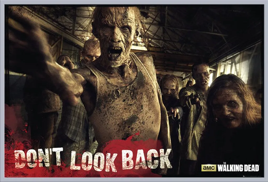 Décoration murale The Walking Dead avec cadre argenté et vitre acrylique
