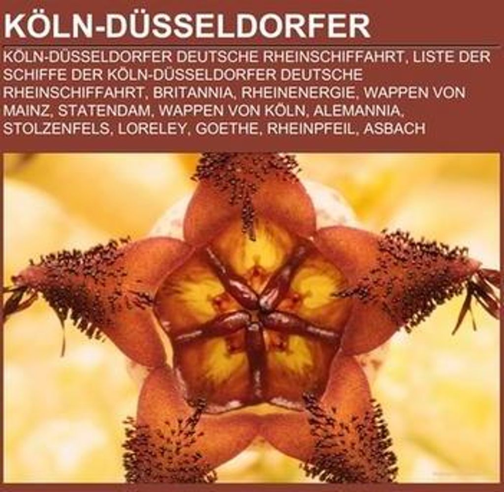 Köln-Düsseldorfer