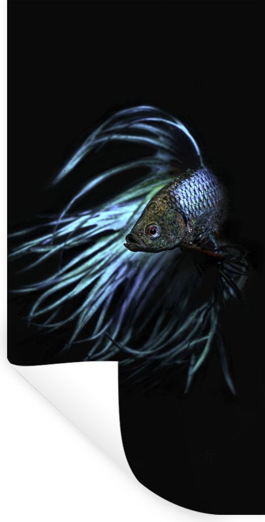 MuchoWow Wandtattoo Wandsticker Wandaufkleber Fische - Meerestiere - Blau - Schwarz 40x80 cm Selbstklebend und Repositionierbar