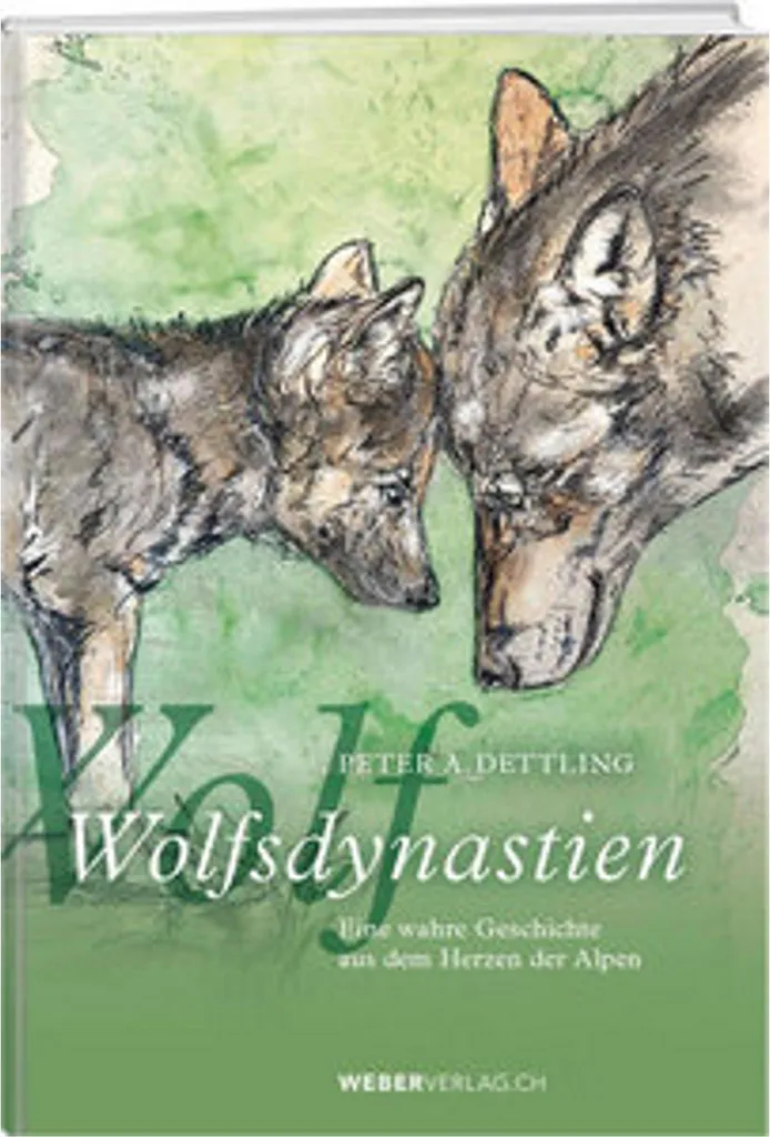 Jeu de Plateau Wolfsdynastien - Stratégie et Conquête pour 4 Joueurs