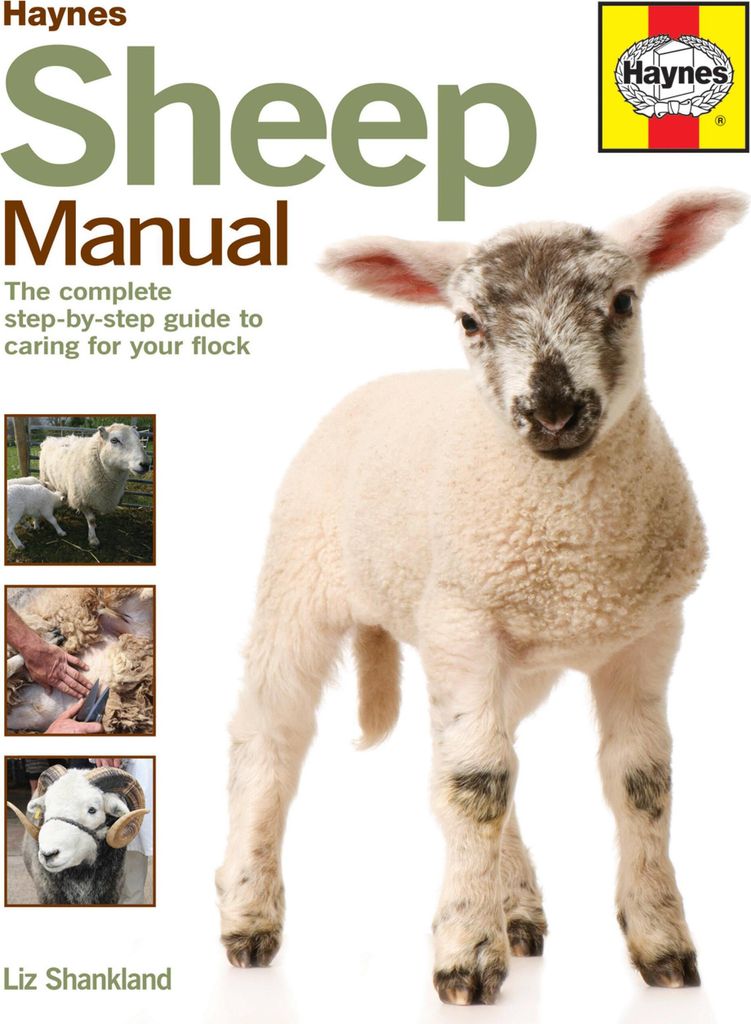 Sheep Manual
