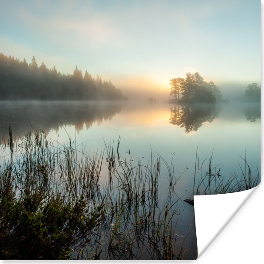 MuchoWow Poster Ruhiger Morgen im Wald von Norwegen 75x75 cm - Wand Dekoration