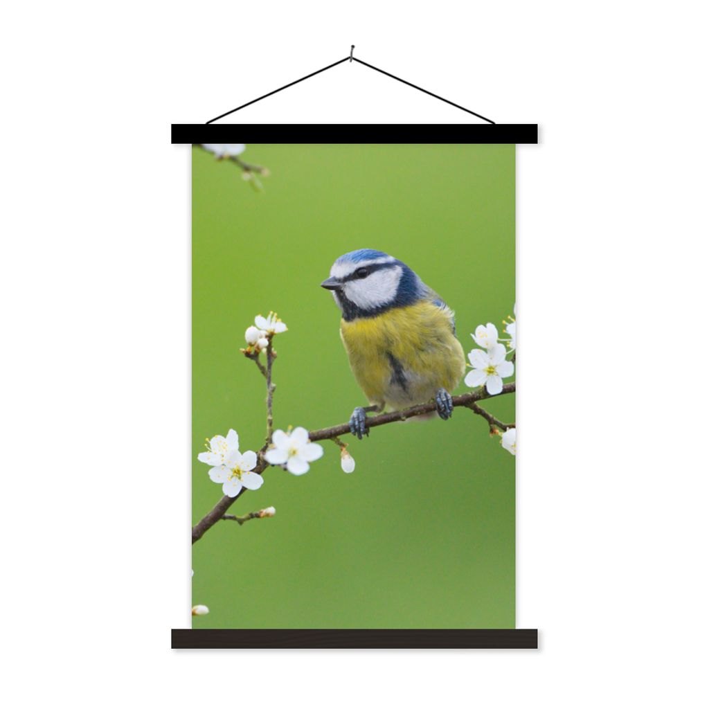 MuchoWow Textilposter Blaumeise - Zweig - Blumen - Blühende Zweige - Vogel 120x180 cm mit schwarzem Rahmen - Fotos