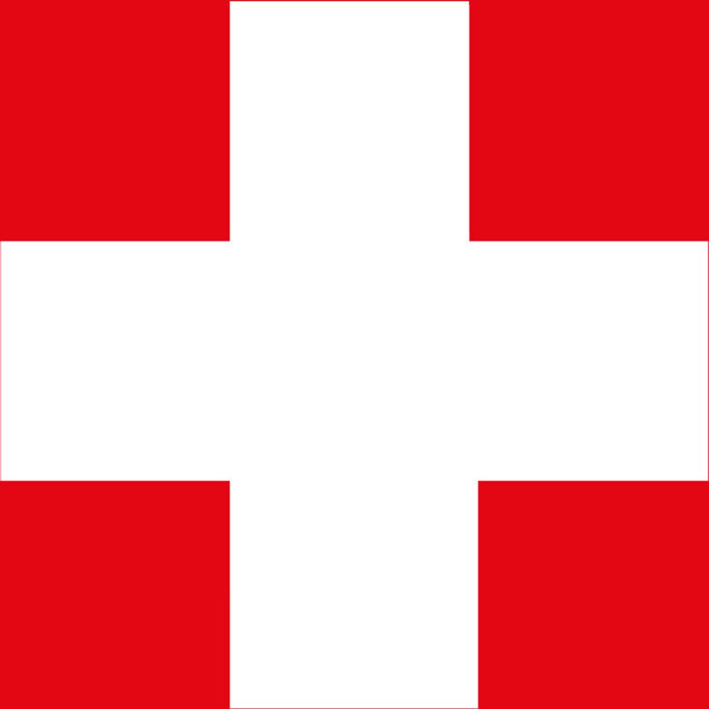 allpa Schweizer Flagge 70x100cm : 30x45cm