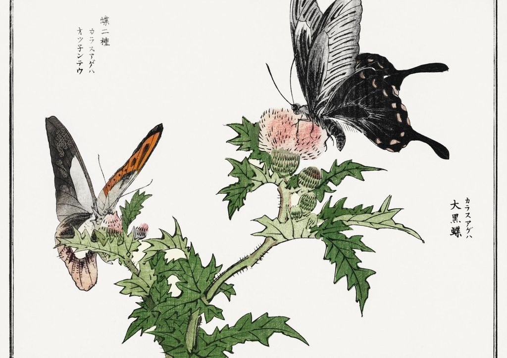 Plakat 42x29,7cm Schmetterlinge und Blumen Illustration Morimoto Toko Japanisch Vintage
