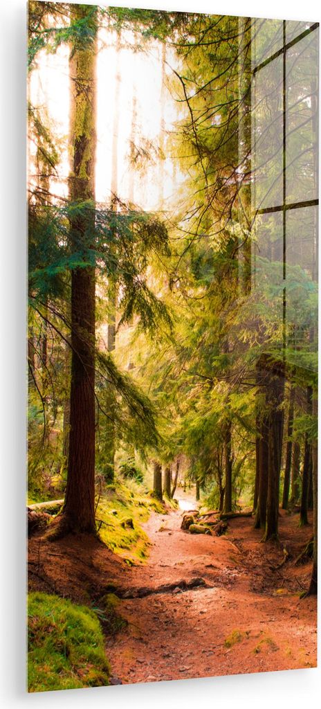 MuchoWow Glasbilder - Bilder auf Wandbild - Foto auf Glas Wald - Weg - Bäume - Grün - Sonne - Natur 60x120 cm Wanddekoration aus Glas - Acrylglas...