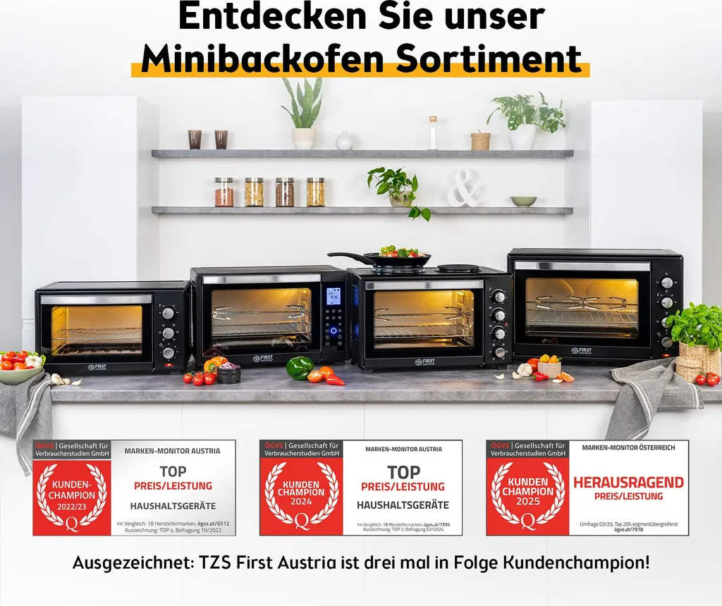TZS First Austria Mini Four Électrique avec Plaques de Cuisson 30L - 9