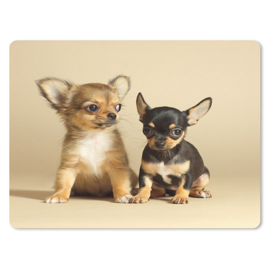 MuchoWow Mauspad Mousepad Zwei kleine Chihuahua-Welpen 40x30 cm - Mousepads - Maus Mat - Pad - Mausunterlage - Anti Rutsch