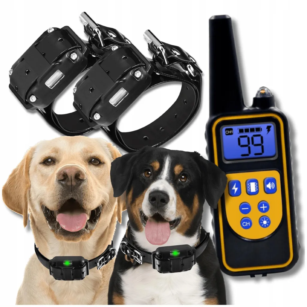 Collier d'éducation pour chien avec télécommande portée 800m et LED OMNA