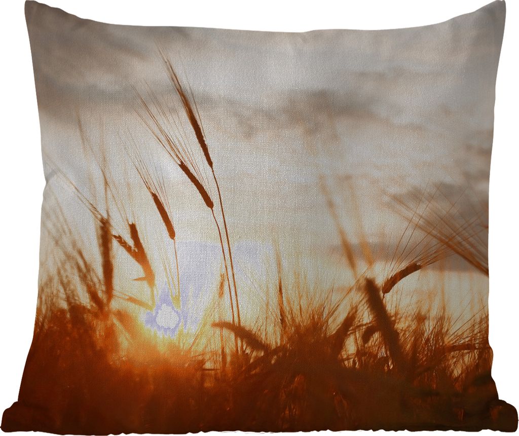 MuchoWow Outdoor Kissen - Schilf - Gras - Sonnenuntergang - Natur - Horizont - 40x40 cm - Wetterfest - Lounge Kissen - Kopfkissen - Interieur - P...