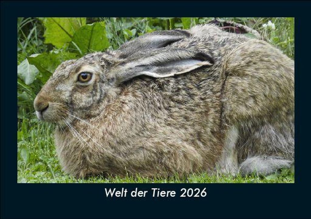 Welt der Tiere 2026 Fotokalender - Querformat DIN A5, Monatskalender mit Bild-Motiven von Haustieren, Bauernhof, wilden Tieren und Raubtieren