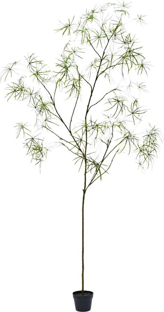 Silk-ka künstliche Zimmerpflanze Schefflera Grün 240 cm