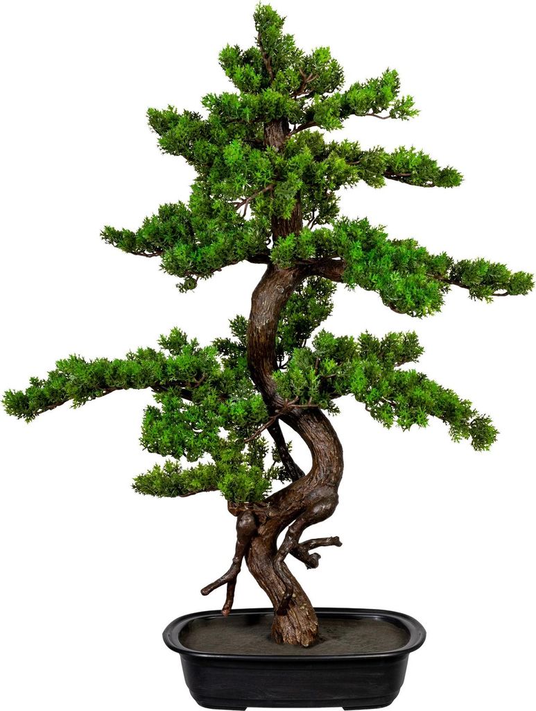 Kopu Künstlicher Bonsai-Zeder 26 cm mit schwarzem Topf - Bonsai-Baum