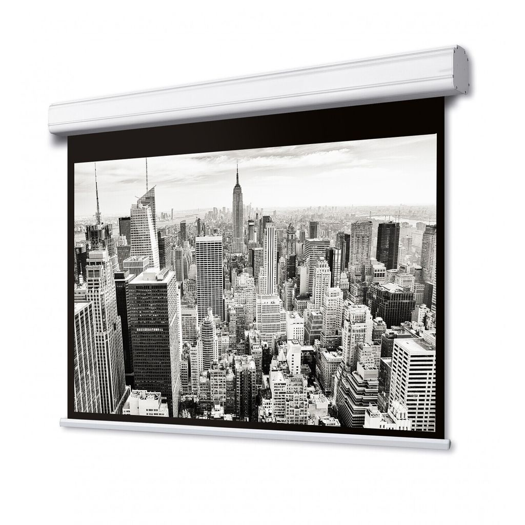 DELUXX Professional Motorleinwand 16:9 Mattweiss Vision Pro Produktbild 