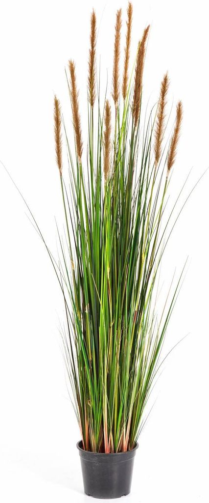 artplants.de Künstliches Fuchsschwanzgras, braunen Rispen, weiß - grün, 150cm - Kunstgras - Dekogras
