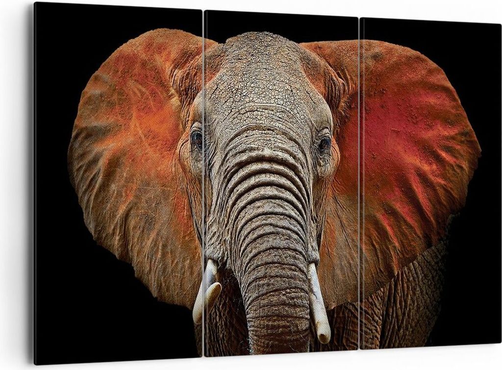 Bild auf Leinwand - Leinwandbild - 3 Teile - Elefant Rot Ohren - 165x110cm - Wand Bild - Wanddeko - Wandbilder - Leinwanddruck - Bilder - Wanddekor...