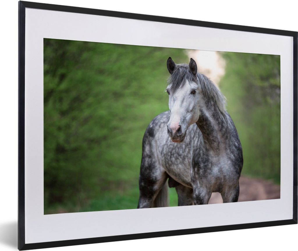 MuchoWow MuchoWow Gerahmtes Poster Pferd - Wald - Porträt 60x40 cm - Poster mit zchwarzem Bilderrahmen - Schlafzimmer - Plakat in Rahmen - Dru...