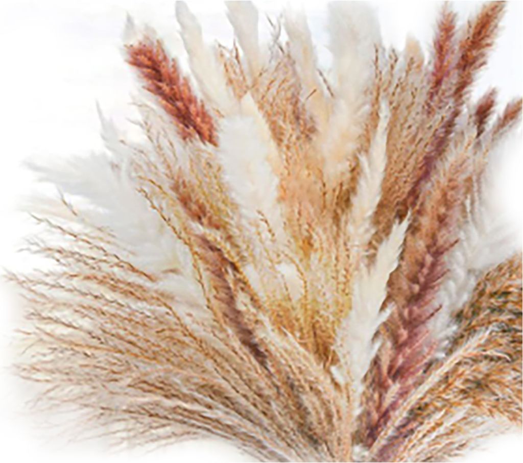 Bund trockenes Schilfgras, kein Gießen, nicht verwelkt, pflegeleicht, natürlich, getrockneter Pflanzenstrauß, DIY, Hochzeit, Boho-Blume, Heimdek...