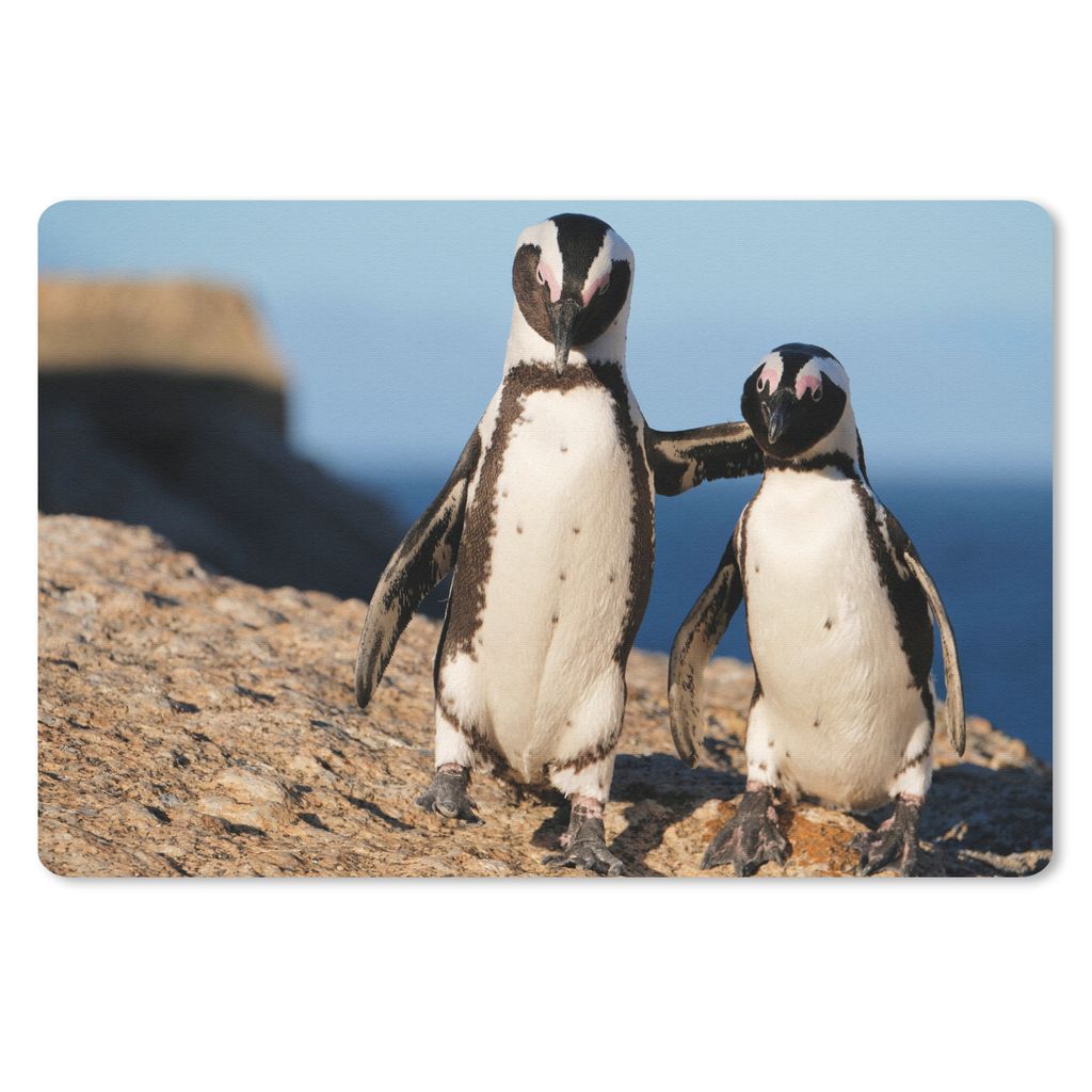 MuchoWow Mauspad Mousepad Zwei Pinguine kuscheln auf einem Felsen 27x18 cm - Mousepads - Maus Mat - Pad - Mausunterlage - Büroartikel - Desk Matten