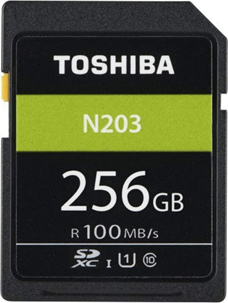 Carte Mémoire 256 Go Toshiba N203 Finissez-en avec le Stockage Saturé