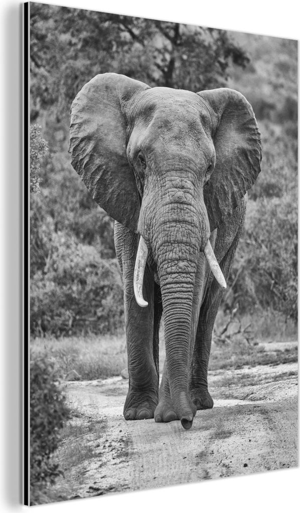 MuchoWow Wanddekoration Metall Metallbild Wandkunst 60x80 cm Elefant schwarz und weiß zentriert MuchoWow Aluminium Gemälde - Wanddekoration Metall