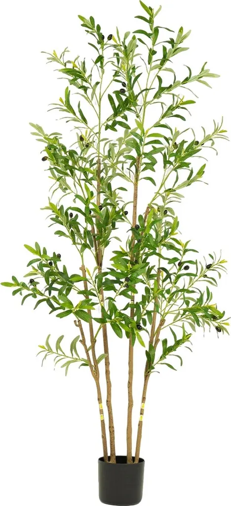 Albero di Ulivo Artificiale 180cm Realistico - Design Mediterraneo