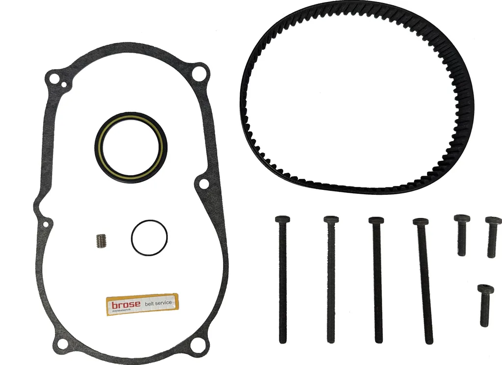 Kit de Réparation Moteur Brose Gen2 Noir - Entretien Système Électrique