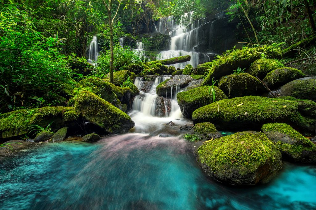 Muralo Fototapete Natur 300 (B) x 210 (H) cm Vlies Tapete Wandtapeten Wasserfall Steine Bäume Pflanzen Wohnzimmer Schlafzimmer moderne Wandbilder ...