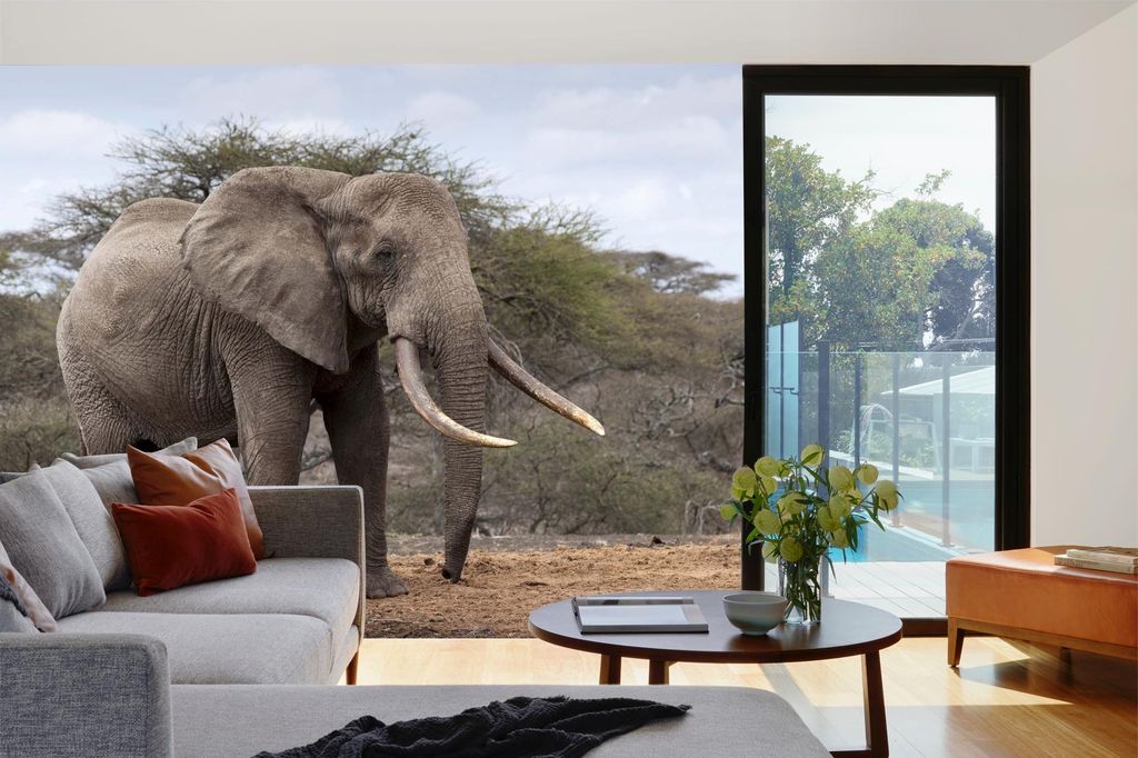 Vlies Fototapete ELEFANTENWILDLEBEN IN KENIA 375 x 250 cm (inkl. Kleister) - Vlies Tapete, Wandtapete, Wandbilder - Tapete für Wohnzimmer Schlafzi...
